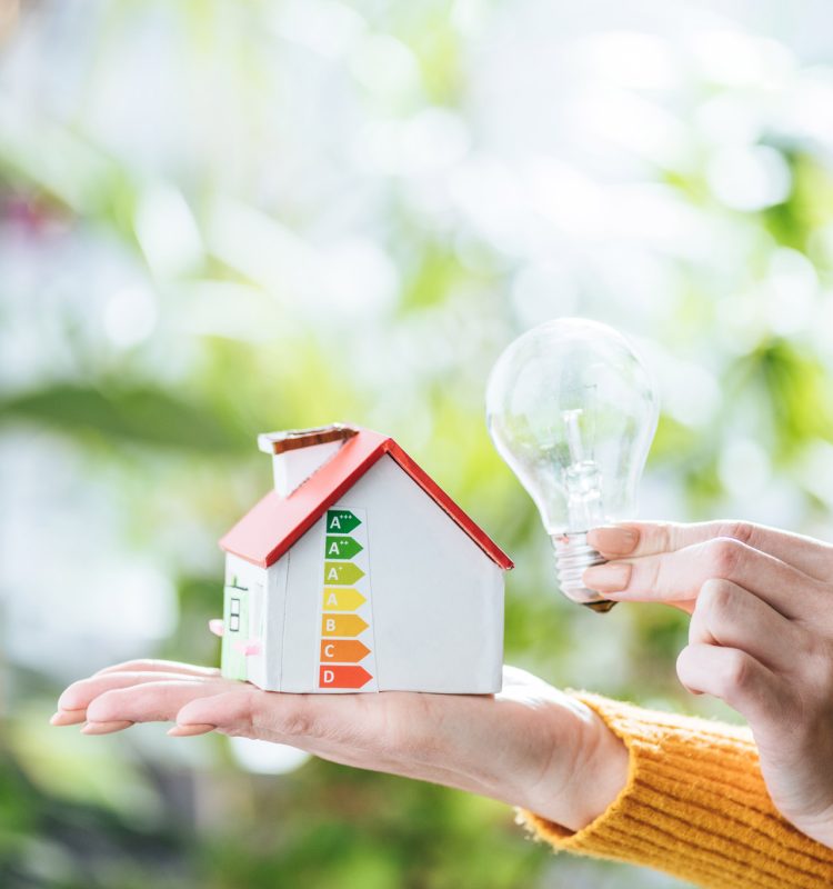 avenir-protection-habitat-renovation-globale